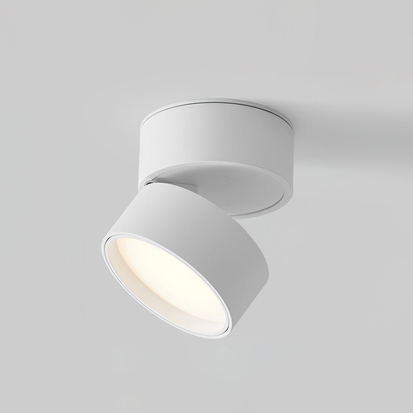 Favilla Plafondlamp  | 1+1 GRATIS