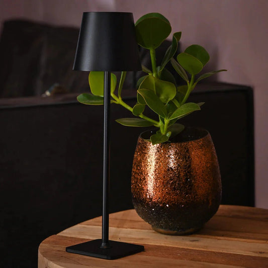 Fendry Desk Lamp | 1+1 GRATIS